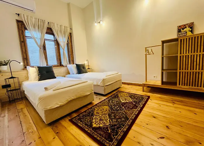 Skyler Vintage 招待所 普罗夫迪夫