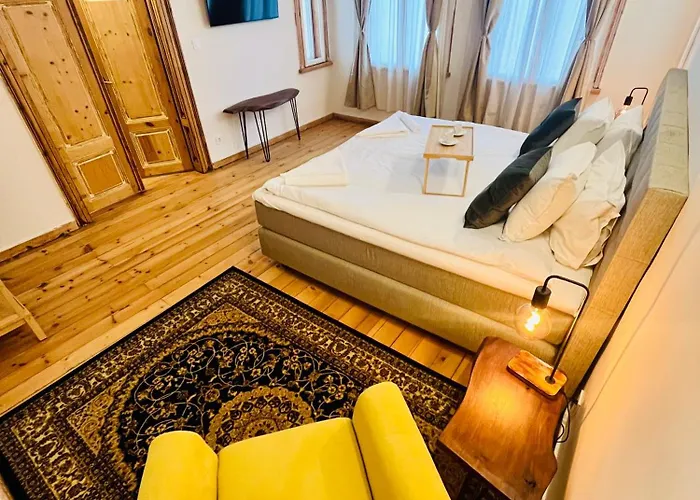 Skyler Vintage 招待所