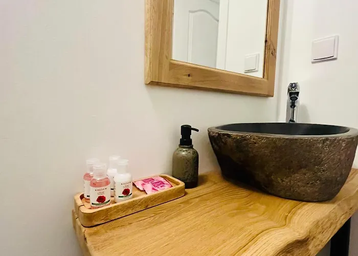 招待所 Skyler Vintage 3*