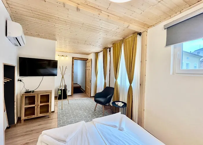 Skyler Vintage 招待所