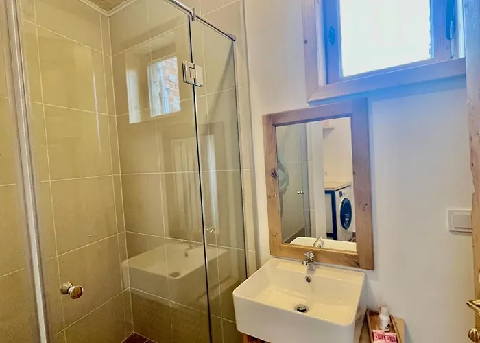 Skyler Vintage 普罗夫迪夫